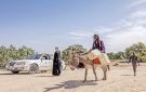 مقتل 60 شخصا في صراع على الماشية جنوب السودان