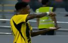  بيرجوين يحقق رقما قياسيا بعد هدفه أمام الجزيرة الإماراتي 