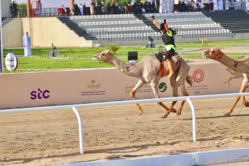 ميدان الطائف يشتعل غدا بـ سباق الهجانة في مهرجان ولي العهد ميدان الطائف يشتعل غدا بـ سباق الهجانة في مهرجان ولي العهد