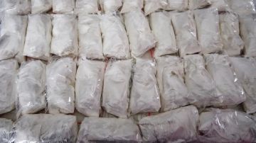 القبض على ملحن مصري شهير بتهمة حيازة مواد مخدرة القبض على ملحن مصري شهير بتهمة حيازة مواد مخدرة