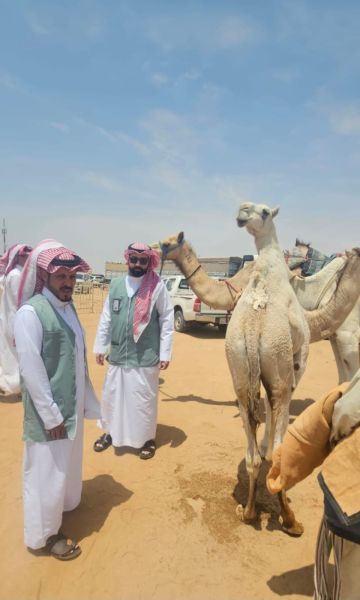 بيئة الطائف تكثف الرقابة وتعزز الرفق بالحيوان بيئة الطائف تكثف الرقابة وتعزز الرفق بالحيوان
