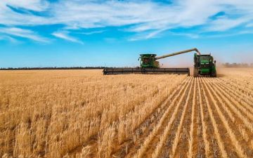السعودية تطرح مناقصة لاستيراد 535 ألف طن قمح السعودية تطرح مناقصة لاستيراد 535 ألف طن قمح