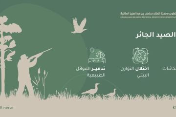 هيئة محمية الملك سلمان تشدد على منع الصيد داخل نطاقها هيئة محمية الملك سلمان تشدد على منع الصيد داخل نطاقها