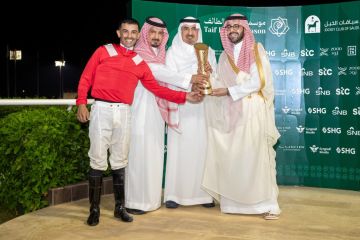 الجواد