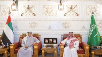 وزير الدفاع يلتقي الشيخ منصور بن زايد آل نهيان وزير الدفاع يلتقي الشيخ منصور بن زايد آل نهيان