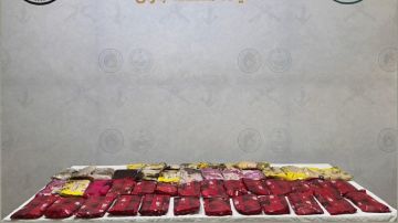 إحباط تهريب 48 كيلوجراما من الحشيش المخدر بجازان إحباط تهريب 48 كيلوجراما من الحشيش المخدر بجازان