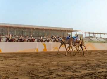الهجن السعودية تتصدر افتتاحية اللقايا في مهرجان ولي العهد