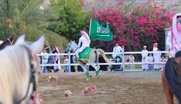 الخيل العربية الأصيلة تزين اليوم الوطني في العقيق بعروض للفروسية الخيل العربية الأصيلة تزين اليوم الوطني في العقيق بعروض للفروسية