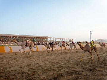 خلف خط النهاية..أشهر الصمت تقود الهجن إلى منصات الذهب