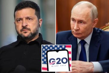 زيلينسكي يبدي استعداده للقاء بوتين خلال قمة مجموعة العشرين والكرملين يرفض زيلينسكي يبدي استعداده للقاء بوتين خلال قمة مجموعة العشرين والكرملين يرفض
