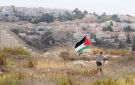 منظمة إسرائيلية تتهم الاحتلال بالتطهير العرقي للفلسطينيين - sa