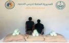 القبض على يمنيين في جازان لتهريبهما (45) كجم قات - sa