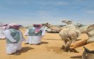 بيئة الطائف تكثف الرقابة وتعزز الرفق بالحيوان