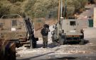 الاحتلال يعتقل 10 فلسطينيين ومستوطنون يصعدون اعتداءاتهم في الضفة الغربية - sa