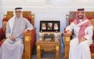 استعرض التعاون مع نظيره البلغاري.. وزير الدفاع ومنصور بن زايد يبحثان تعزيز التنسيق المشترك