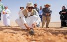 إطلاق أكثر من 140 ضبا في محمية الإمام عبدالعزيز بن محمد