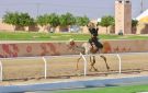 من سرير الجراحة إلى شوط الهجانات.. الحربي تقهر الآلام بمهرجان ولي العهد