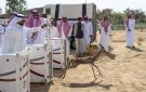 إطلاق كائنات فطرية بمتنزه سيسد في الطائف لتعزيز التنوع الأحيائي