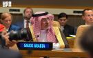 الدكتور الربيعة: الدبلوماسية الإنسانية تشكل جسرا يربط بين المبادئ والتطبيق واحترام القانون الدولي الإنساني وحماية المدنيين