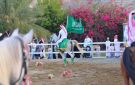 الخيل العربية الأصيلة تزين اليوم الوطني في العقيق بعروض للفروسية