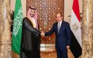 مصر والسعودية: ماذا يريد كل منهما من الآخر الآن؟ - sa