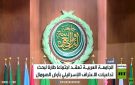 تحذير عربي من زعزعة القرن الإفريقي