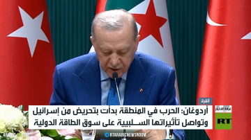 أردوغان وتبون: إسرائيل تواصل الانتهاكات