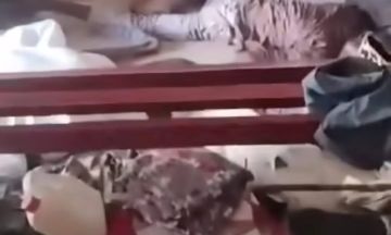 عقب جريمة المستشفى السعودي.. مناوي يطالب مجلس الأمن بالقبض على حميدتي وشقيقه