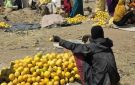 منطقة خصبة في السودان يتعفن فيها الطعام رغم انتشار المجاعة والحرب، فما القصة؟ - sd
