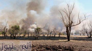 مليشيا الدعم السريع ترتكب مجزرة في خور طقت.. 27 شهيدا وعشرات الجرحى في استهداف صيوان عزاء مليشيا الدعم السريع ترتكب مجزرة في خور طقت.. 27 شهيدا وعشرات الجرحى في استهداف صيوان عزاء