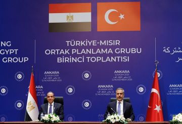 القاهرة وأنقرة تبحثان مشروع قوة الاستقرار الدولية في غزة وتركيا تنتظر احترام إسرائيل التزاماتها