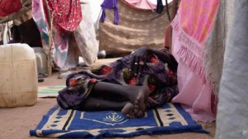 الولايات المتحدة تؤكد التزامها بحل سلمي في السودان وتقر بـ تعقيد الوضع ، وشهادات من بارا والفاشر لبي بي سي تكشف معاناة النازحين