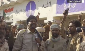 مسؤول: المليشيا اعتقلت (3) وزراء واغتالت مفوض العون الإنساني بشمال دارفور