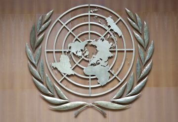 السودان: مجلس حقوق الإنسان يعتمد بعثة مستقلة للتحقيق في فظائع الفاشر