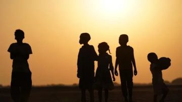  عثرت عليهما بين المواشي، سيبقيان معي وأربيهما كما أربي أولادي 