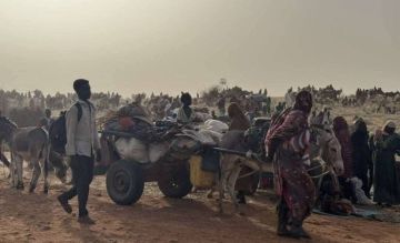 بعثة أممية للتحقيق في انتهاكات الفاشر بعثة أممية للتحقيق في انتهاكات الفاشر