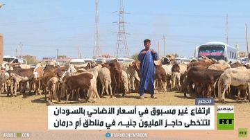 ارتفاع أسعار الأضاحي في السودان ارتفاع أسعار الأضاحي في السودان