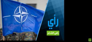 هل يدرك قادة الناتو مغبة التورط ضد روسيا