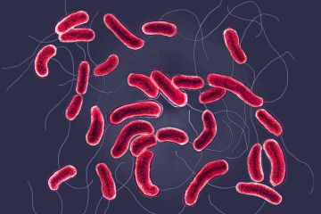 تحذيرات من تفشي الكوليرا في السودان