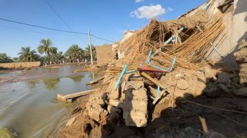 كارثة جبل مرة.. قرية تمحى من الوجود وانتشال الجثث من تحت الركام بإمكانيات بدائية كارثة جبل مرة.. قرية تمحى من الوجود وانتشال الجثث من تحت الركام بإمكانيات بدائية