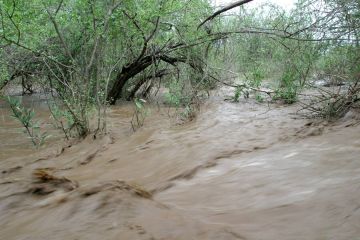 مقتل 1000 شخص بانهيار أرضي دمر قرية في منطقة جبال مرة بغرب السودان