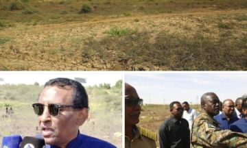 رئيس الوزراء يعرب عن اسفه لتدهور غابة السنط ويوجه بوضع برنامج عاجل لاعادتها لسابق عهدها رئيس الوزراء يعرب عن اسفه لتدهور غابة السنط ويوجه بوضع برنامج عاجل لاعادتها لسابق عهدها