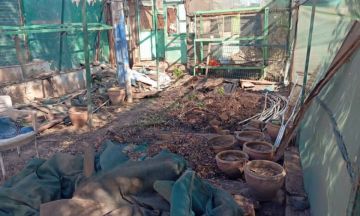 الإعلان عن انطلاقة تأهيل مشتل مجلس البيئة لإنتاج الشتول لمشروع شجرة الكرامه