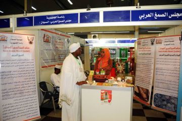 الصمغ العربي في السودان على حافة الاحتضار