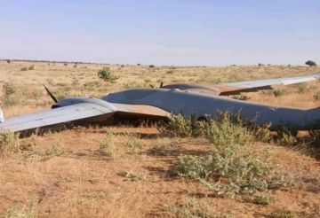 تشاد تتهم قوات الدعم السريع بخرق حدودها وقتل سبعة جنود