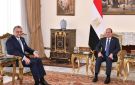 السيسي لمبعوث ترامب: لن نسمح بالنيل من وحدة واستقرار السودان