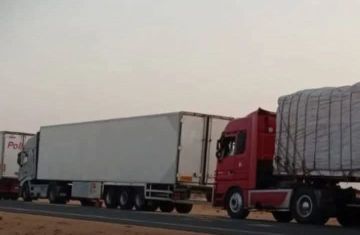مصر توقف عبور الشاحنات إلى السودان عبر ميناء قسطل إلى أجل غير مسمى مصر توقف عبور الشاحنات إلى السودان عبر ميناء قسطل إلى أجل غير مسمى