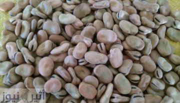 السودان يصدر قرارا بحظر استيراد الفول المصري السودان يصدر قرارا بحظر استيراد الفول المصري