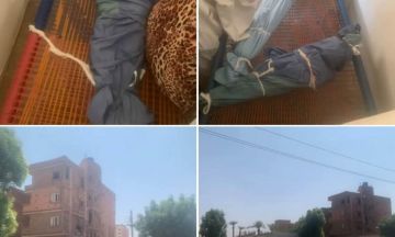 مقتل 3 أطفال بمسيرة انقضاضية للمليشيا في حي بري شرقي الخرطوم مقتل 3 أطفال بمسيرة انقضاضية للمليشيا في حي بري شرقي الخرطوم