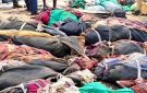 بحسب حصيلة أولية .. مقتل 53 معدنا سودانيا في قصف جوي بشمال الوادي قرب الحدود المصرية.